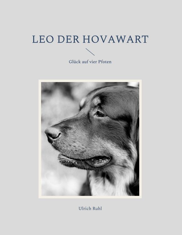 Produktbild: Leo der Hovawart