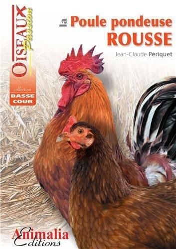 Produktbild: Poule pondeuse rousse