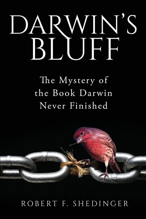Produktbild: Darwin's Bluff
