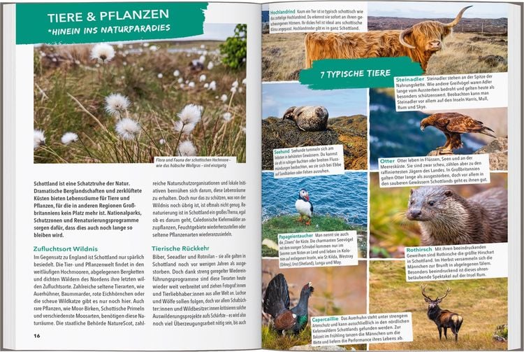 Produktbild: Reisef&uuml;hrer Schottland