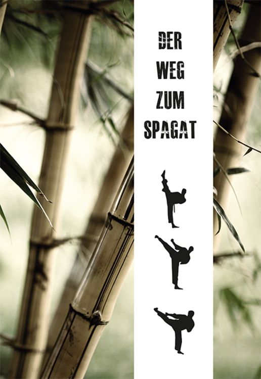 Produktbild: Der Weg zum Spagat