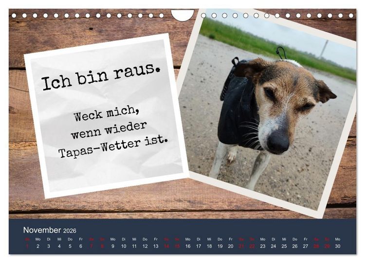 Produktbild: Ratonero Bodeguero Andaluz (Wandkalender 2026 DIN A4 quer), CALVENDO Monatskalender