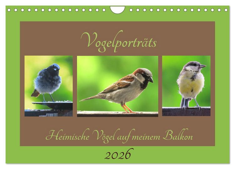Produktbild: Vogelportr&auml;ts - Heimische V&ouml;gel auf meinem Balkon (Wandkalender 2026 DIN A4 quer), CALVENDO Monatskalender