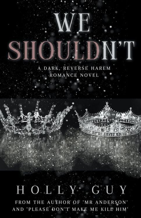 Produktbild: We Shouldn't