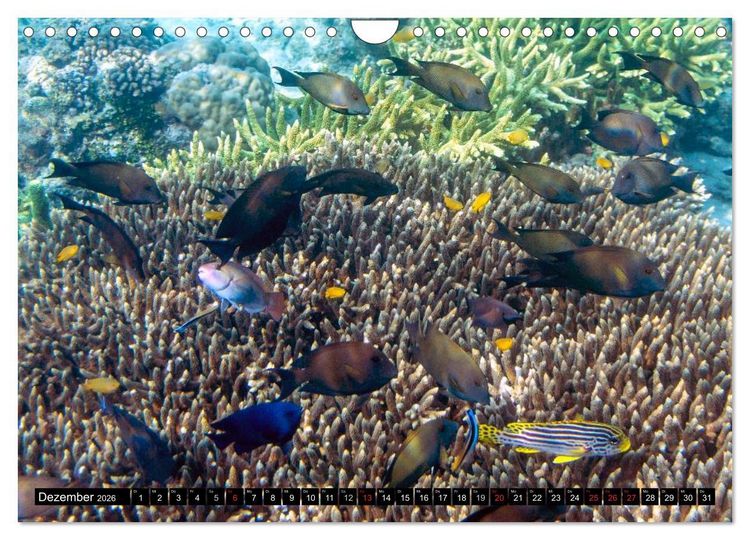 Produktbild: Indonesien: Gili Inseln (Wandkalender 2026 DIN A4 quer), CALVENDO Monatskalender