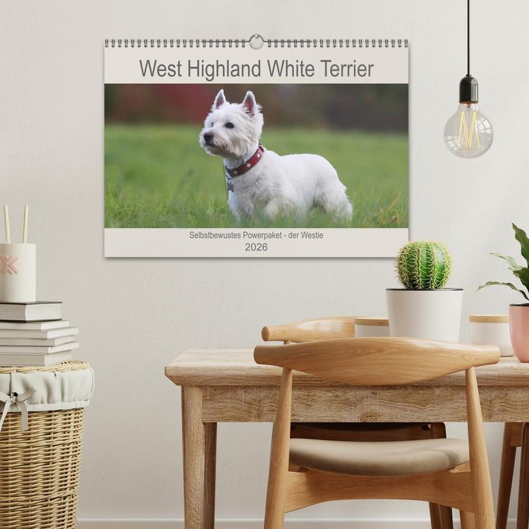 Produktbild: West Highland White Terrier - Selbstbewustes Powerpaket - der Westie (Wandkalender 2026 DIN A3 quer), CALVENDO Monatskalender