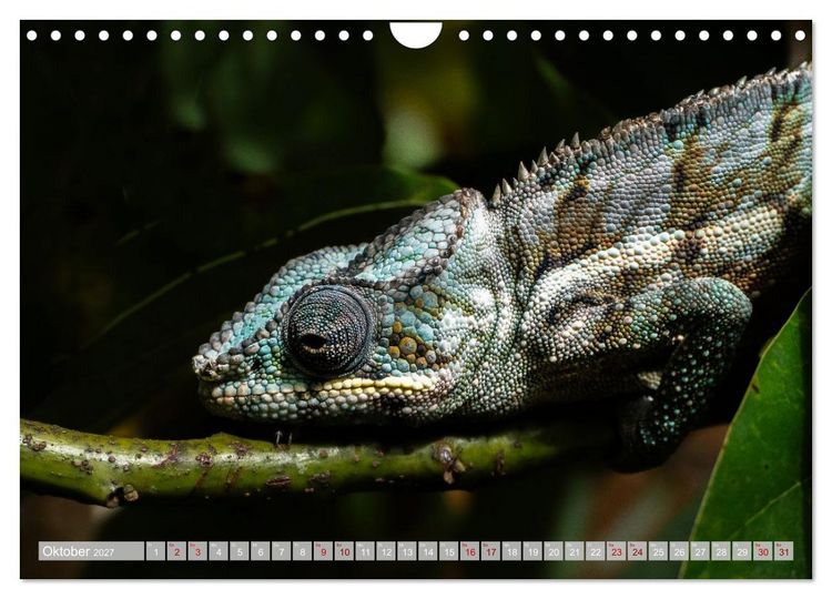 Produktbild: Wildnis Madagaskar (Wandkalender 2027 DIN A4 quer), CALVENDO Monatskalender