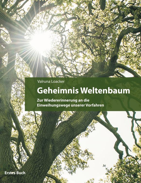 Produktbild: Geheimnis Weltenbaum