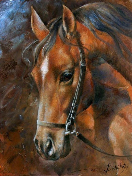 Produktbild: Diamond Painting Pferd 40x30 cm
