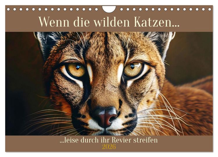 Produktbild: Wenn die wilden Katzen leise durch ihr Revier streifen (Wandkalender 2026 DIN A4 quer), CALVENDO Monatskalender