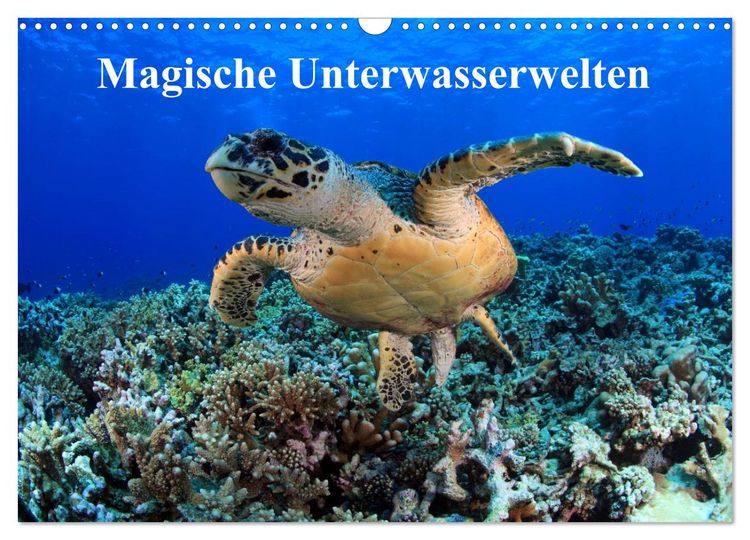 Produktbild: Magische Unterwasserwelten (Wandkalender 2026 DIN A3 quer), CALVENDO Monatskalender