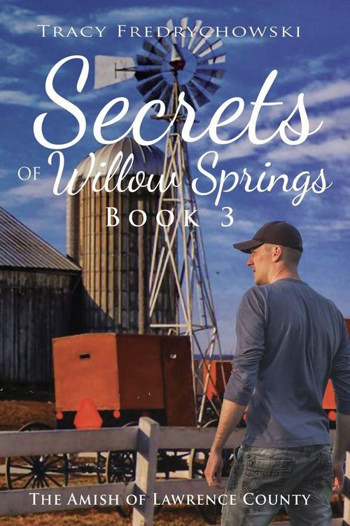 Produktbild: Secrets of Willow Springs - Book 3