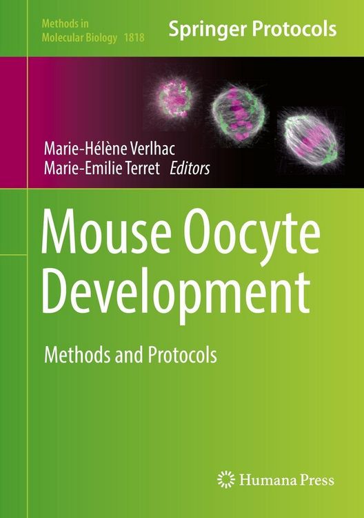 Produktbild: Mouse Oocyte Development
