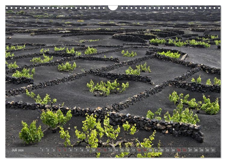 Produktbild: Lanzarote Aus Vulkanen geboren (Wandkalender 2026 DIN A3 quer), CALVENDO Monatskalender