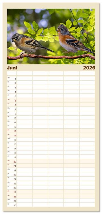 Produktbild: Familienplaner 2026 - Deutschlands Finken mit 5 Spalten (Wandkalender, 21 x 45 cm) CALVENDO
