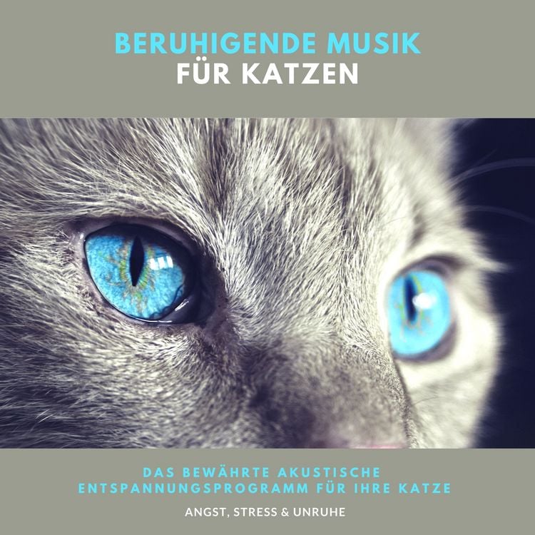 Produktbild: Beruhigende Musik f&uuml;r Katzen