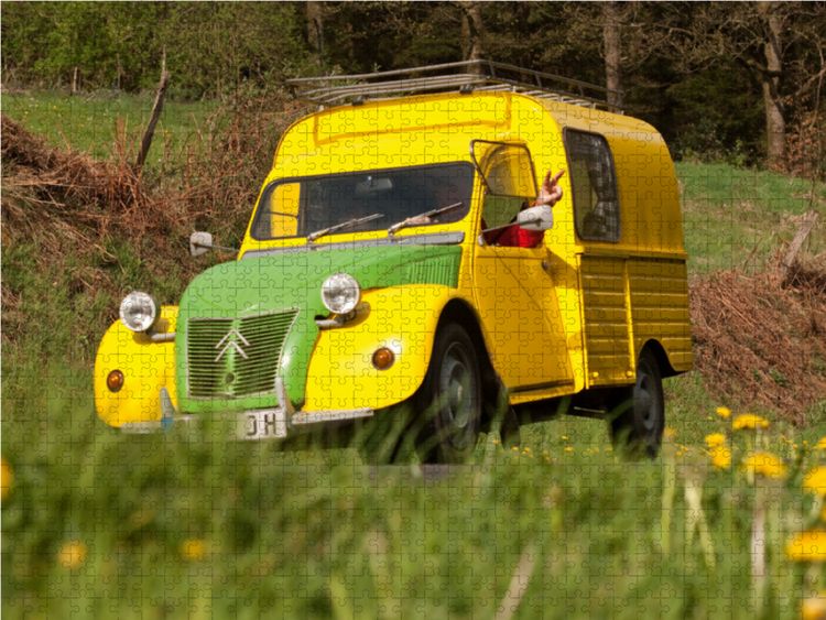 Produktbild: CALVENDO Puzzle Kastenente 1000 Teile Lege-Gr&ouml;&szlig;e 64 x 48 cm Foto-Puzzle Bild von Meike B&ouml;lts