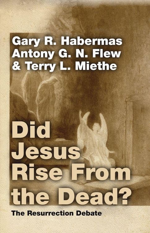 Produktbild: Did Jesus Rise From the Dead?