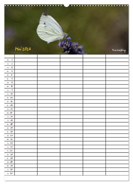 Produktbild: Schmetterlinge in Bayern (hochwertiger Premium Wandkalender 2026 DIN A2 hoch), Kunstdruck in Hochglanz
