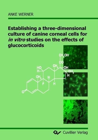 Produktbild: Establishing a three-dimensional culture of canine corneal cells for in vitro studies on the effects of glucocorticoids