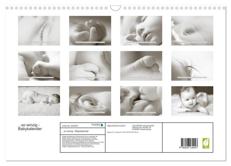Produktbild: ...so winzig - Babykalender (Wandkalender 2026 DIN A3 quer), CALVENDO Monatskalender