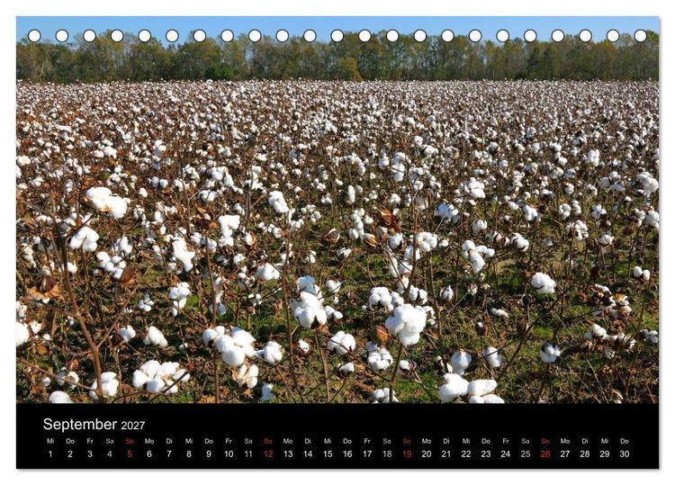 Produktbild: S&uuml;dosten der USA (Tischkalender 2027 DIN A5 quer), CALVENDO Monatskalender
