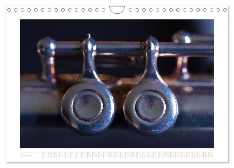 Produktbild: Die Querfl&ouml;te, ein herrliches Instrument (Wandkalender 2026 DIN A4 quer), CALVENDO Monatskalender
