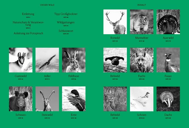 Produktbild: Unser Wild