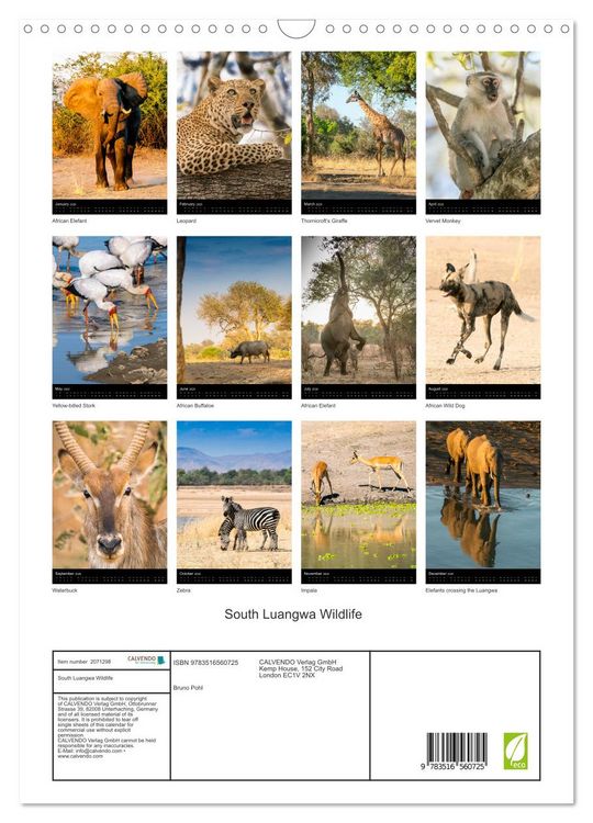 Produktbild: South Luangwa Wildlife (Wall Calendar 2026 DIN A3 portrait), CALVENDO 12 Month Wall Calendar