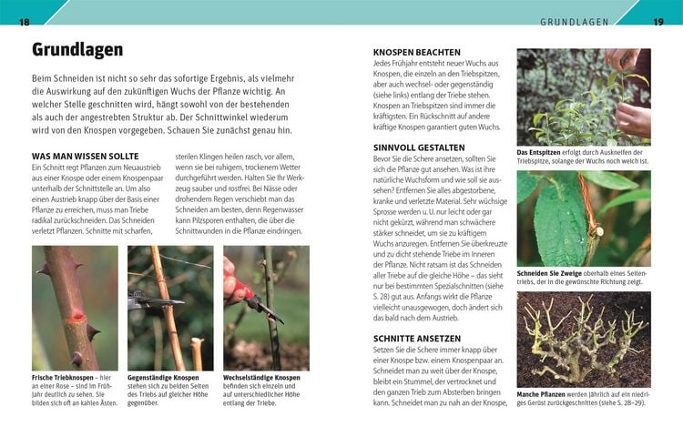 Produktbild: Gartenwissen Pflanzenschnitt