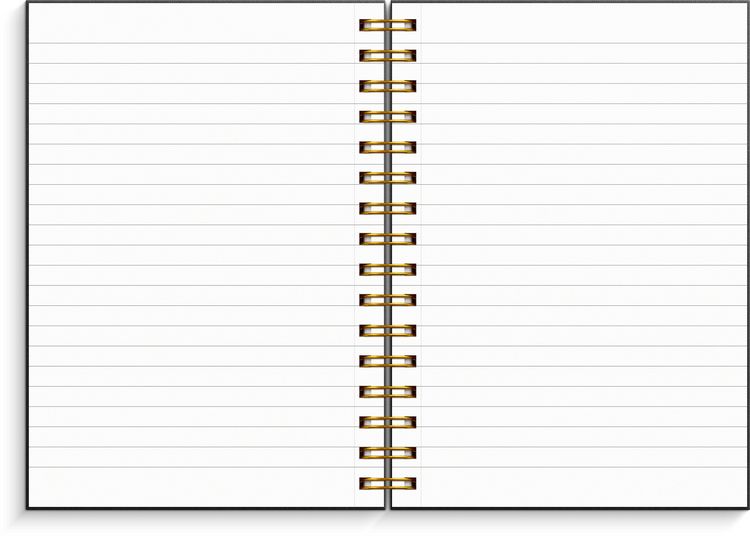 Produktbild: Burde Notizbuch A5 schwarz/gold