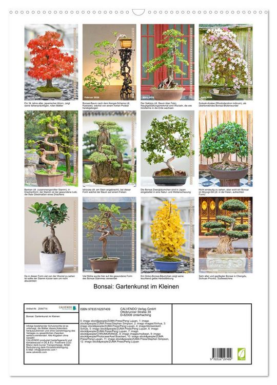 Produktbild: Bonsai: Gartenkunst im Kleinen (Wandkalender 2026 DIN A2 hoch), CALVENDO Monatskalender