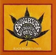 Produktbild: Black Power Flower