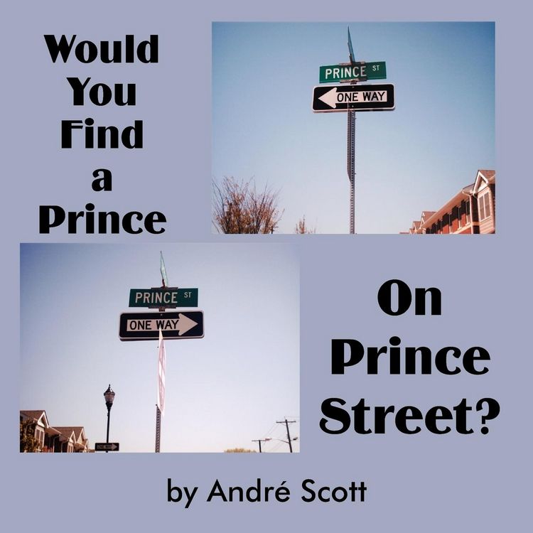 Produktbild: Would You Find a Prince on Prince Street?