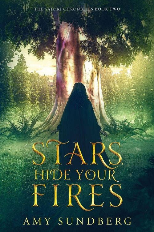 Produktbild: Stars, Hide Your Fires