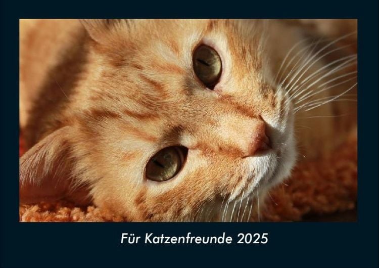 Produktbild: F&uuml;r Katzenfreunde 2025 Fotokalender DIN A4