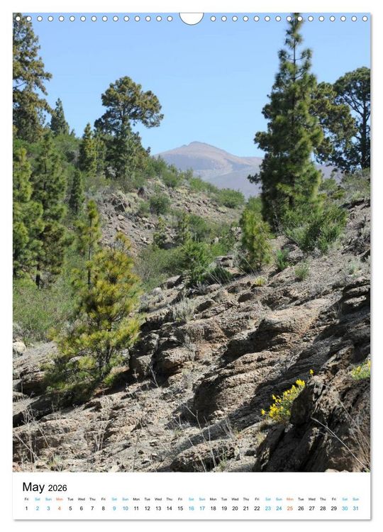 Produktbild: Tenerife - The volcanic island (Wall Calendar 2026 DIN A3 portrait), CALVENDO 12 Month Wall Calendar