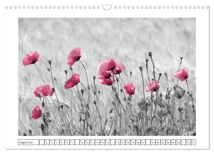 Produktbild: Natur schwarz - wei&szlig; Malerei (Wandkalender 2026 DIN A3 quer), CALVENDO Monatskalender