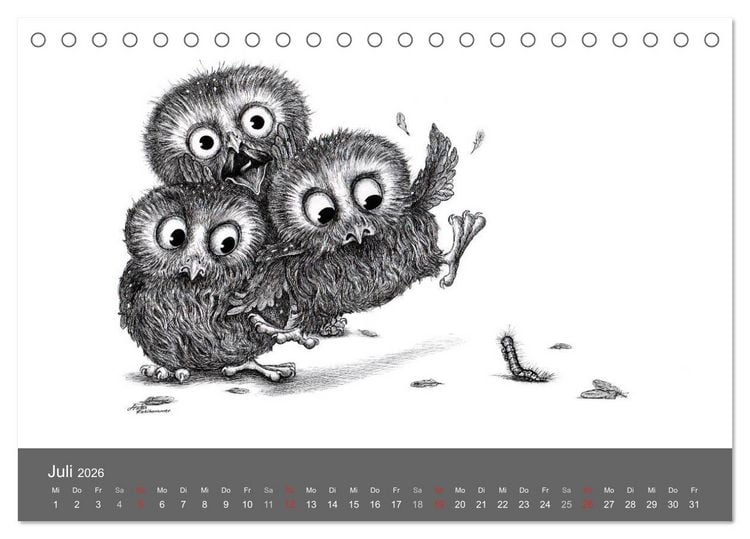 Produktbild: owls & friends 2026 (Tischkalender 2026 DIN A5 quer), CALVENDO Monatskalender