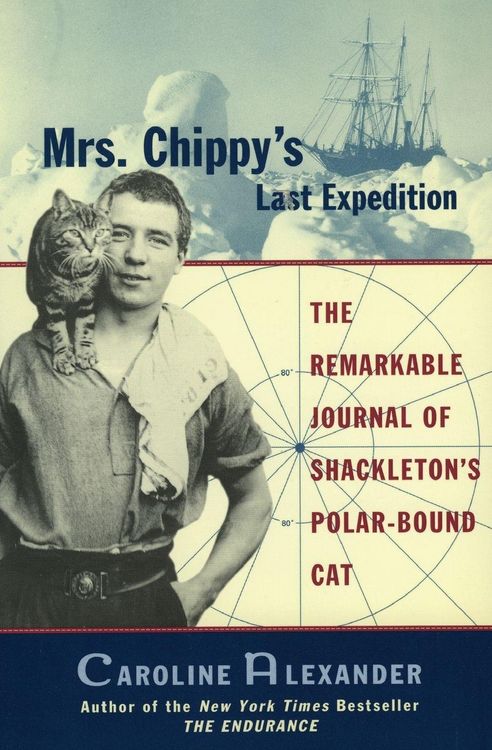 Produktbild: Mrs. Chippy's Last Expedition