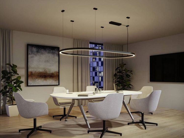 Produktbild: Paulmann 98172 Linion LED-Deckenleuchte LED 6.5W Schwarz