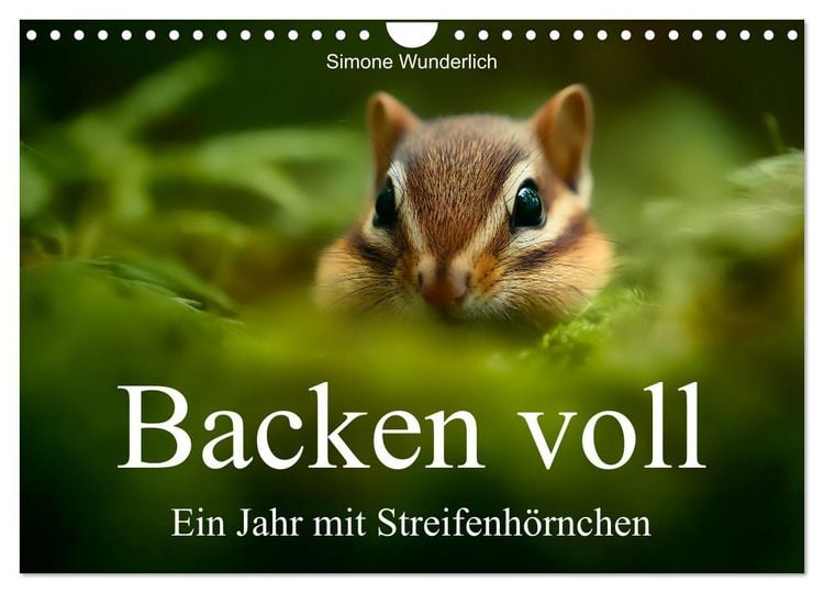 Produktbild: Backen voll - Ein Jahr mit Streifenh&ouml;rnchen (Wandkalender 2026 DIN A4 quer), CALVENDO Monatskalender
