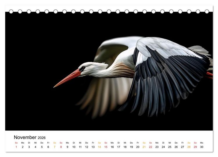 Produktbild: Wilde Heimat - V&ouml;gel unserer Natur (Tischkalender 2026 DIN A5 quer), CALVENDO Monatskalender