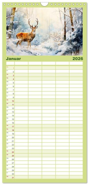 Produktbild: Familienplaner 2026 - Zw&ouml;lf Monate im Wald mit 5 Spalten (Wandkalender, 21 x 45 cm) CALVENDO