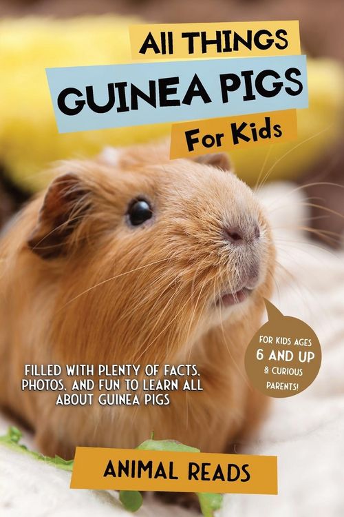 Produktbild: All Things Guinea Pigs For Kids