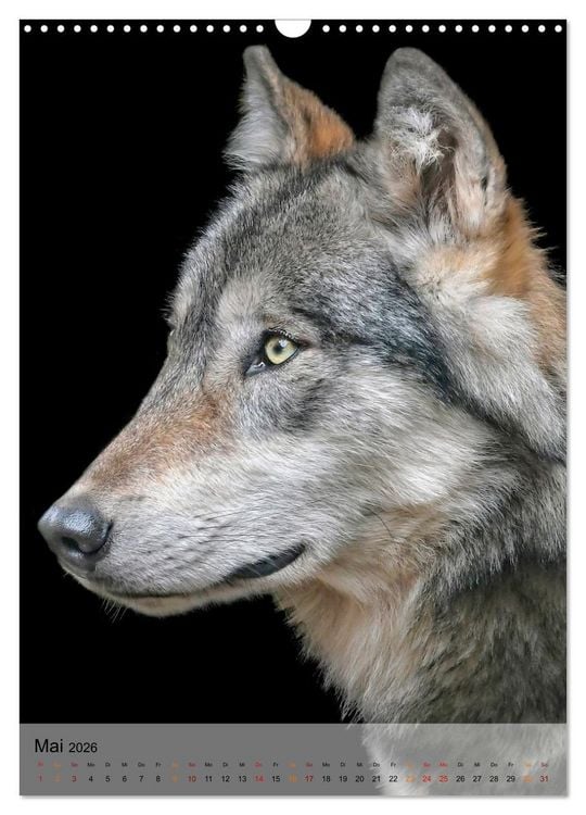 Produktbild: Tiere - K&ouml;pfe mit Charakter (Wandkalender 2026 DIN A3 hoch), CALVENDO Monatskalender