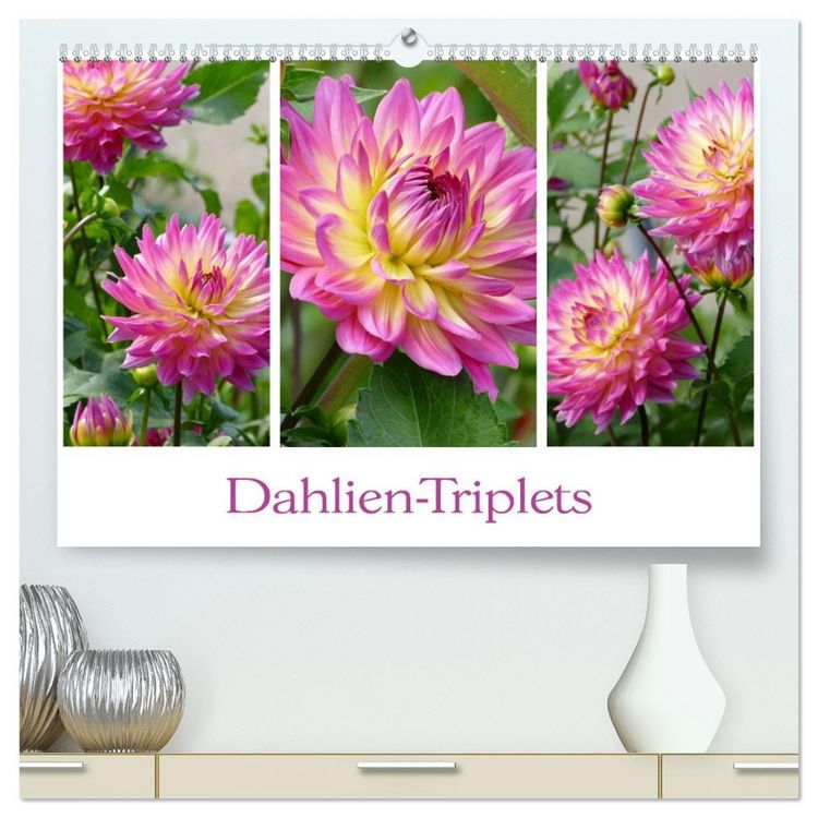 Produktbild: Dahlien-Triplets (hochwertiger Premium Wandkalender 2026 DIN A2 quer), Kunstdruck in Hochglanz