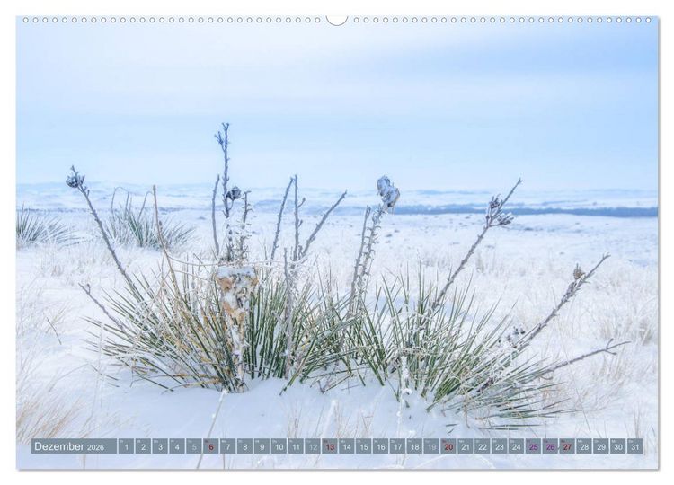 Produktbild: Wildwuchs 2026 (hochwertiger Premium Wandkalender 2026 DIN A2 quer), Kunstdruck in Hochglanz
