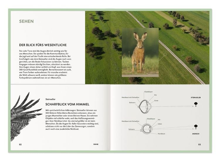 Produktbild: Die Botschaft der Wildtiere