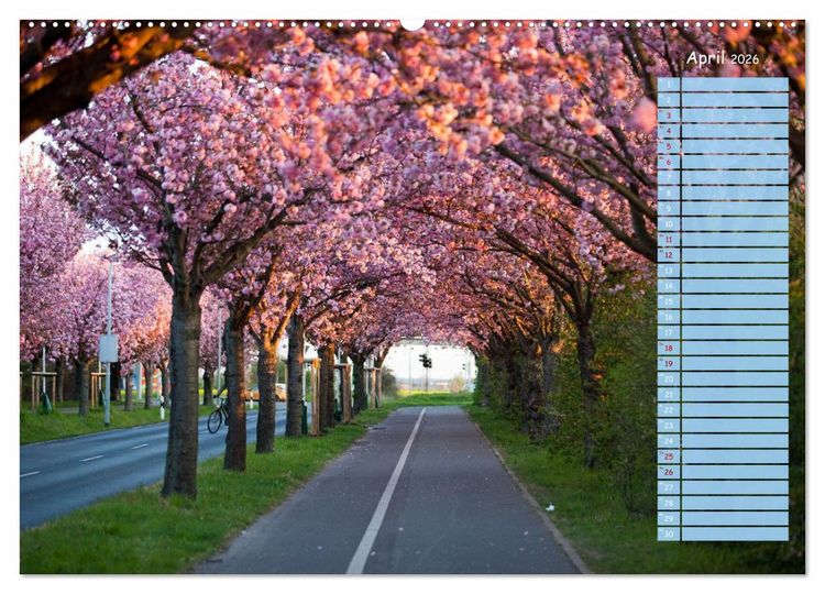 Produktbild: Magdeburg an der Elbe - Der Planer (Wandkalender 2026 DIN A2 quer), CALVENDO Monatskalender